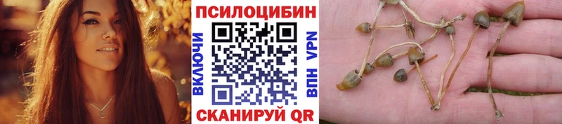 Галлюциногенные грибы MAGIC MUSHROOMS  Фёдоровский 